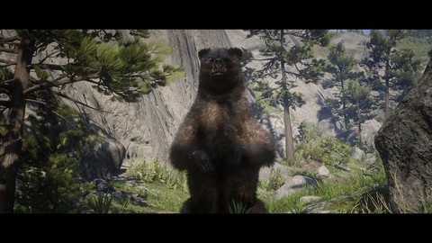 荒野大镖客如何猎熊