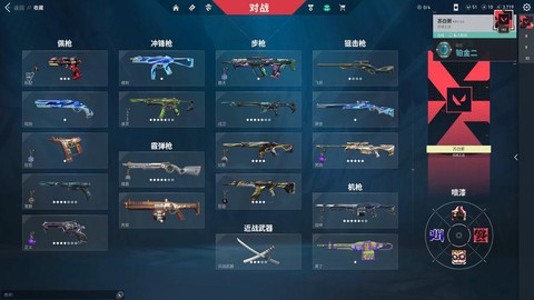 王者荣耀狂徒是什么