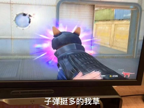 穿越火线cat是什么[图1]