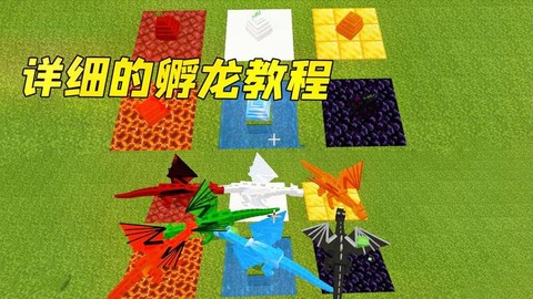 我的世界怎么有龙蛋[图2]