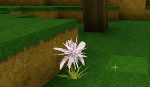 迷你世界龙舌兰怎么做[图2]