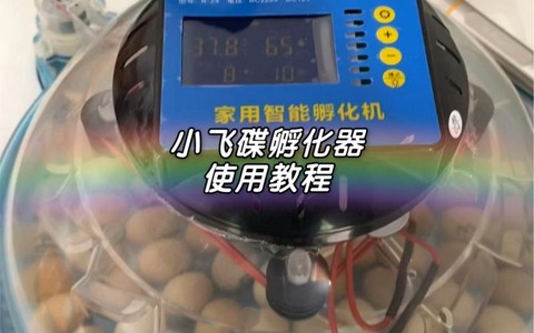 神奇宝贝孵蛋机怎么做[图2]