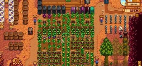 星露谷物语如何耕种