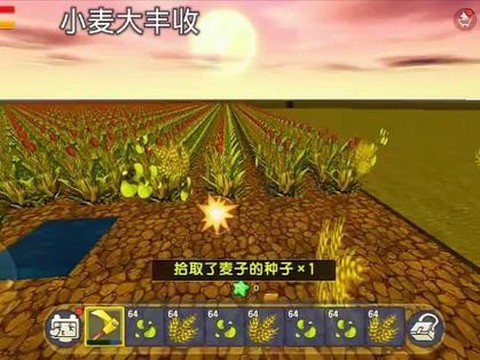 迷你世界麦子用什么收[图1]