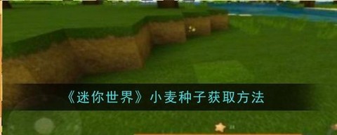 迷你世界麦子用什么收[图2]