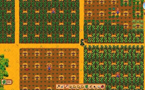 星露谷物语橡树怎么种