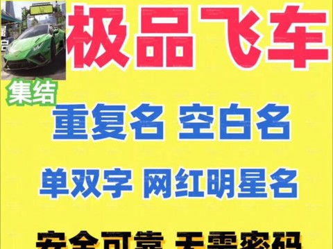 极品飞车名字是什么[图2]