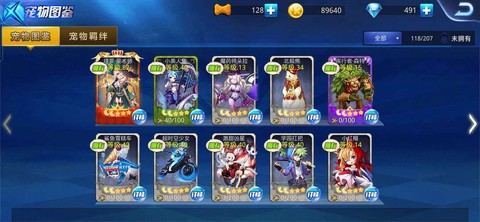 天天酷跑多人什么宠物