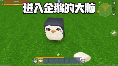 迷你世界企鹅怎么训